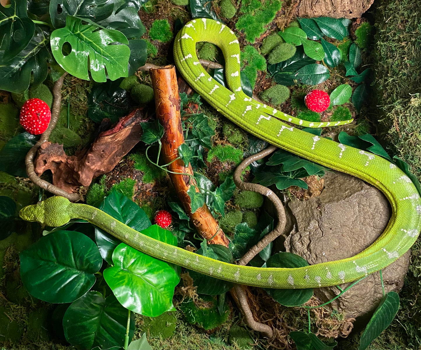 Emerald tree boa